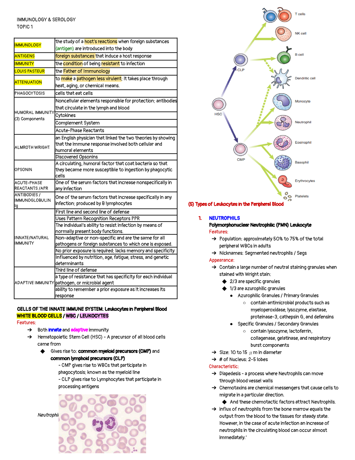 Immunology And Serology - IMMUNOLOGY & SEROLOGY TOPIC 1 IMMUNOLOGY The ...