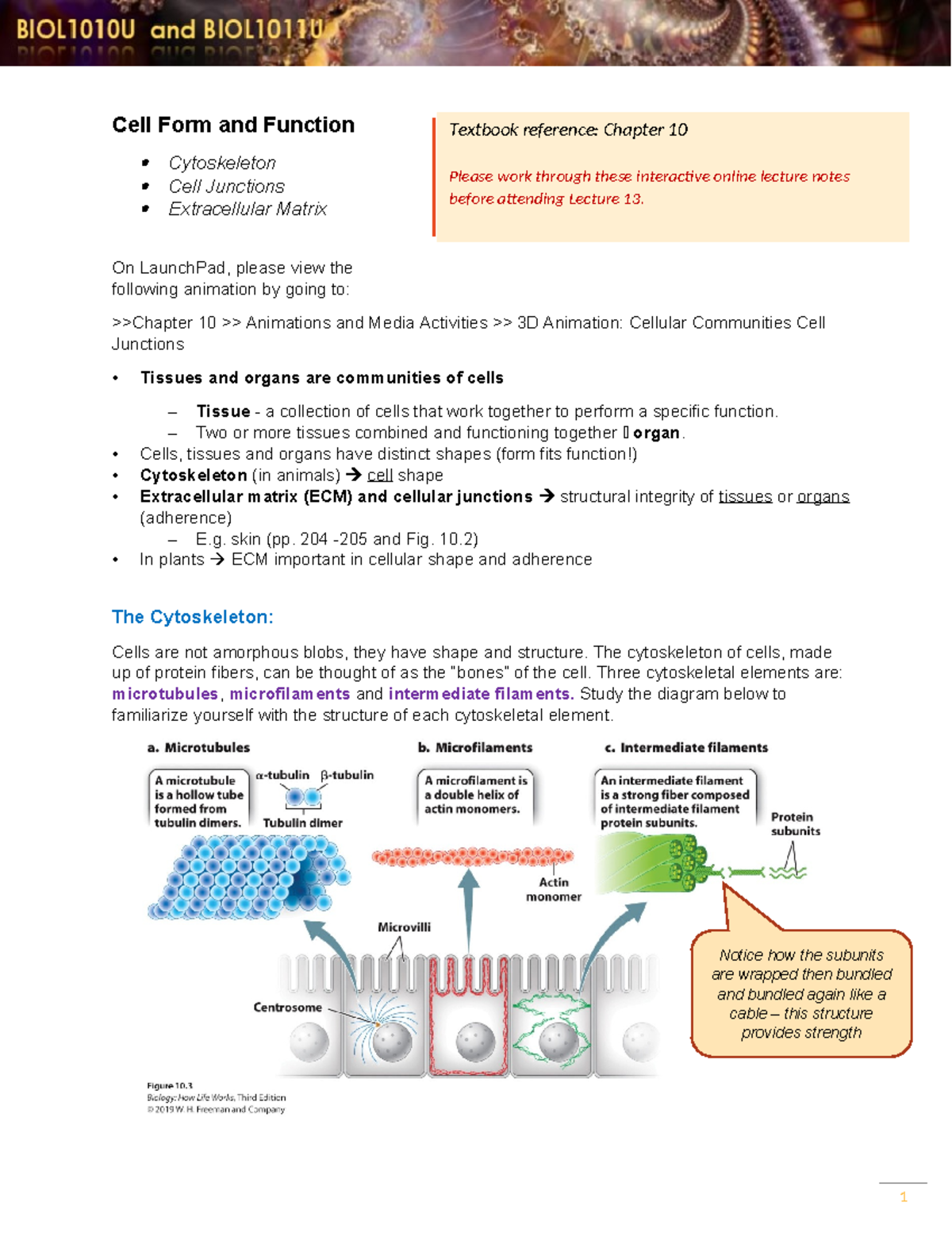 L12 Cell Form Function Interactive notes 2021 - Cell Form and Function ...