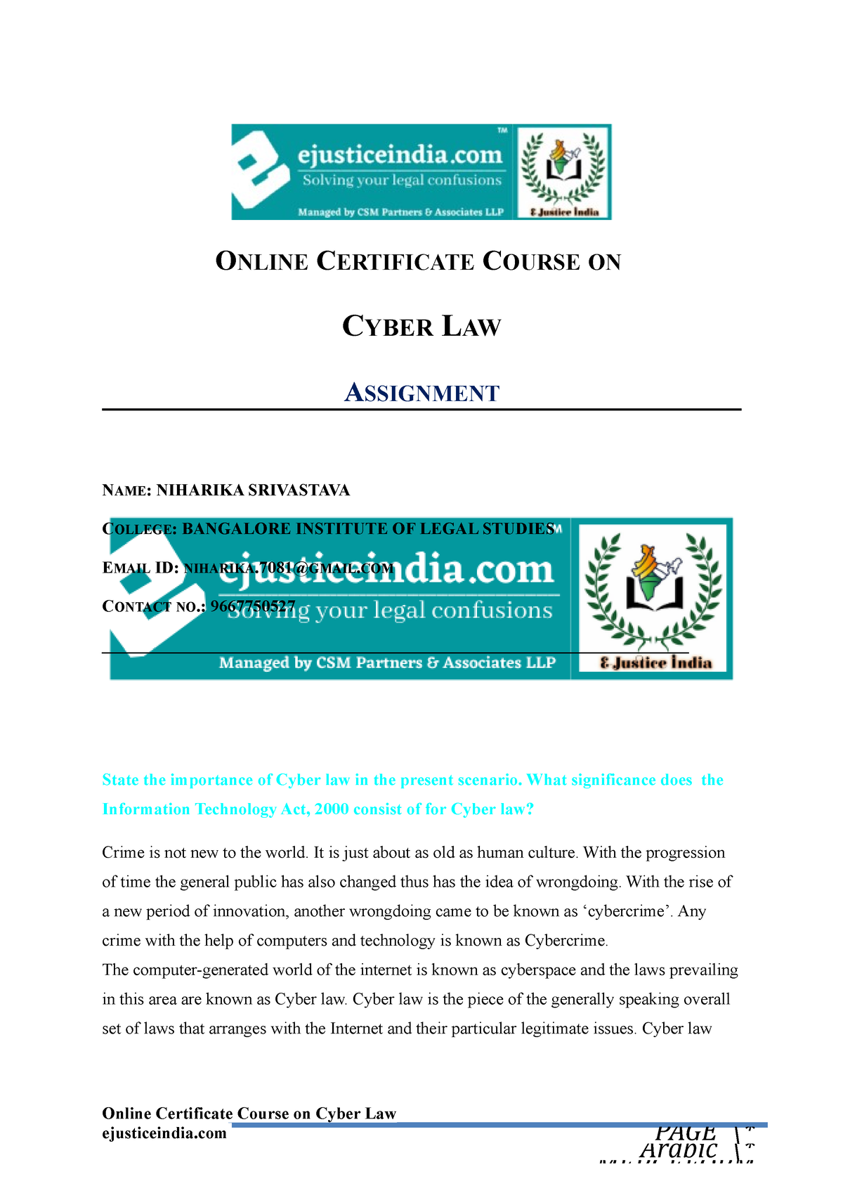 assignment on cyber law