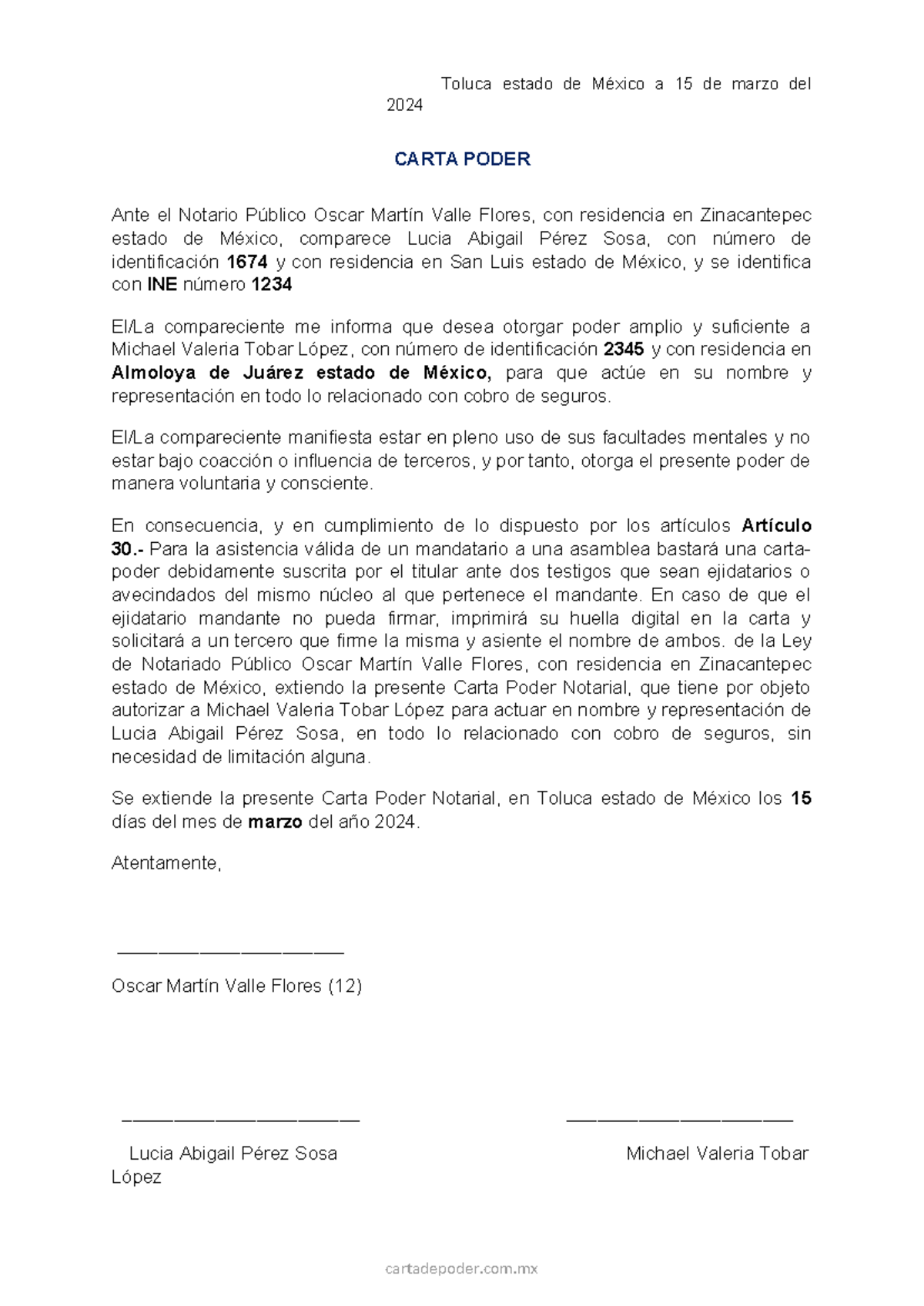 Carta Poder Notarial Toluca Estado De México A 15 De Marzo Del 2024 Carta Poder Ante El 3197