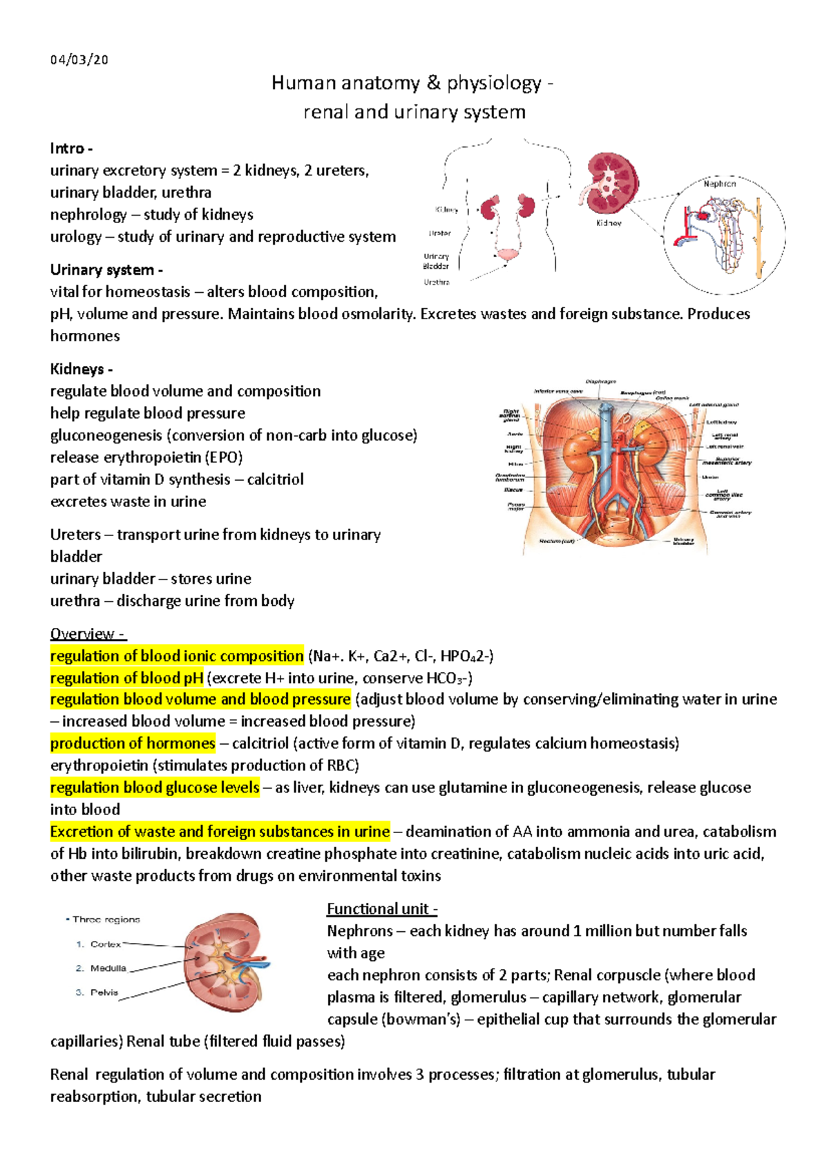 04/03/ Human anatomy & physiology Biology Diagrams