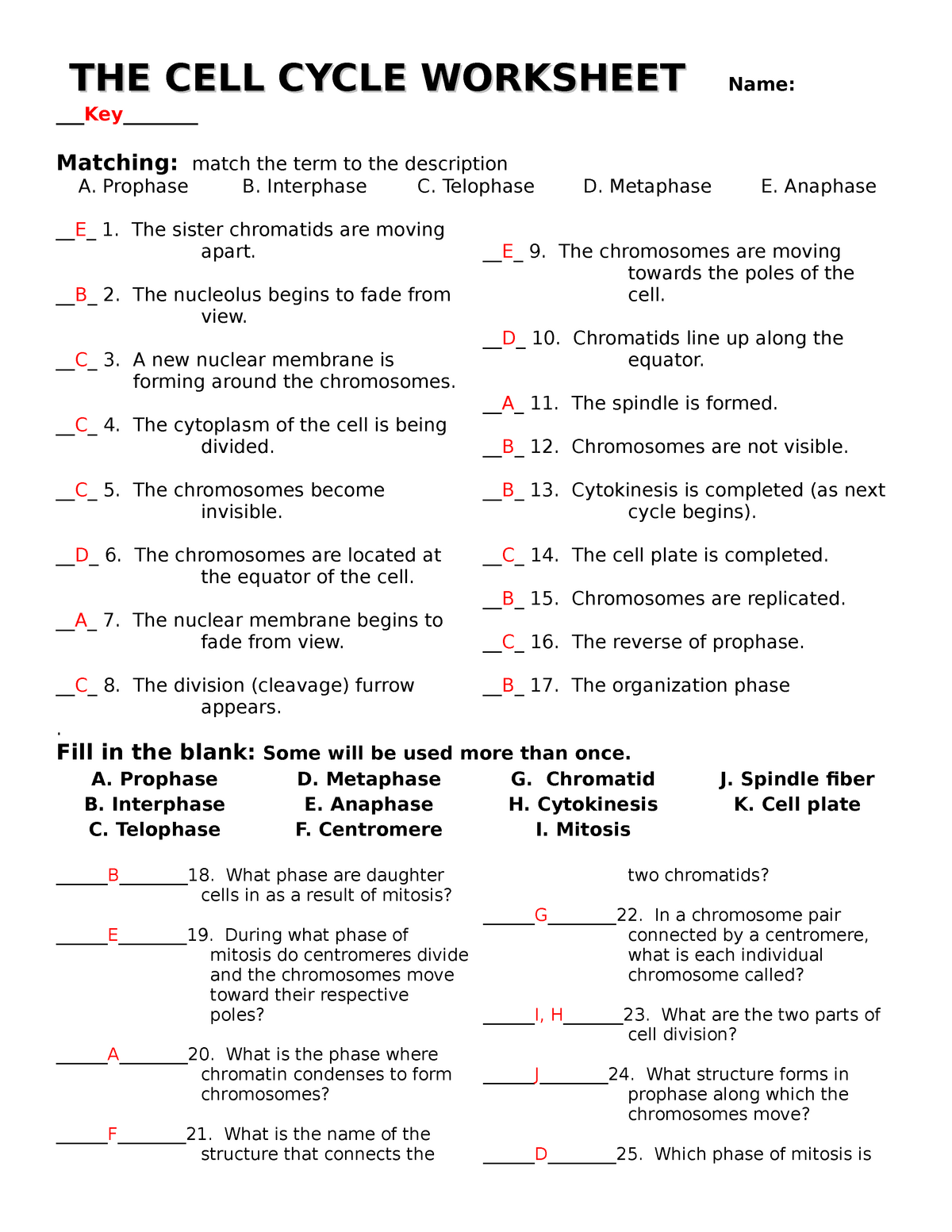 The-cell-cycle-worksheet with answers - THE CELL CYCLE WORKSHEET Within Cell Division Worksheet Answers