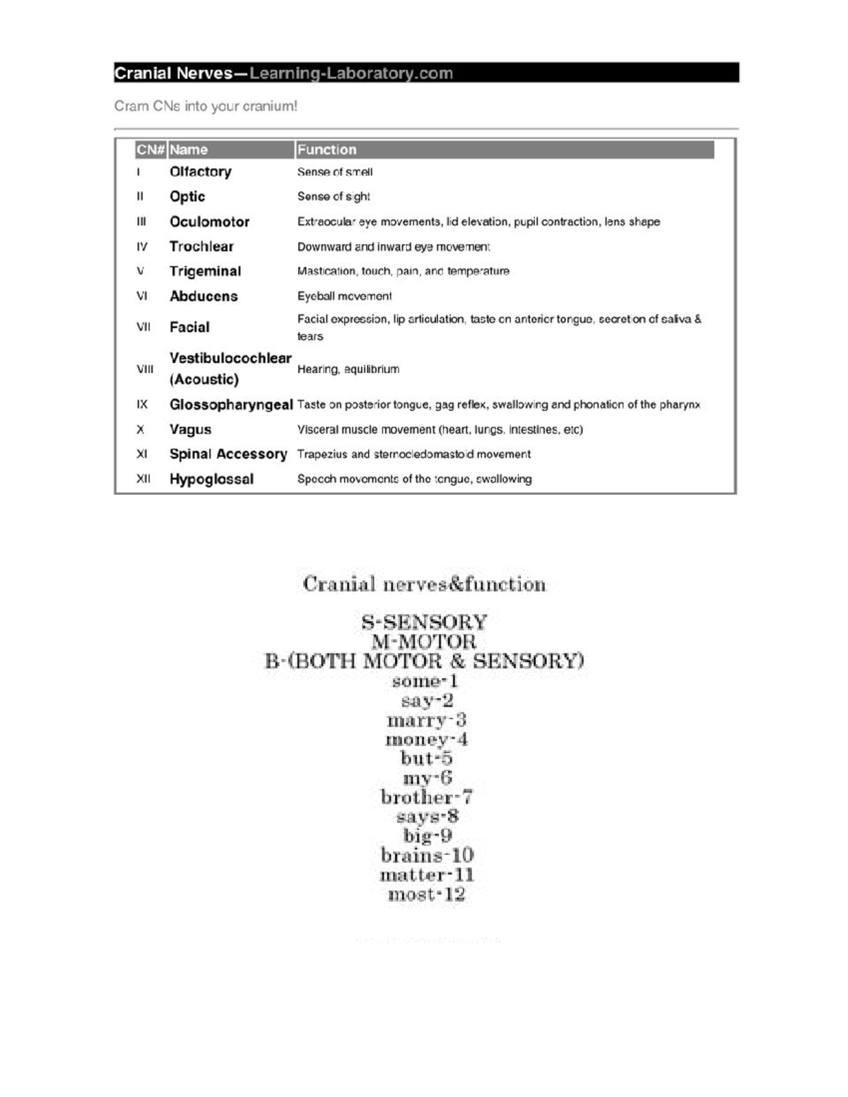Cranial nerves 2017 - Lecture notes 5 - BIOL 171 - Studocu
