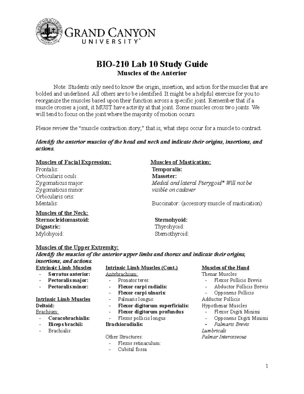 BIO-210L-Anterior Muscles Lab 10 - Lab 10 Study Guide Muscles of the ...