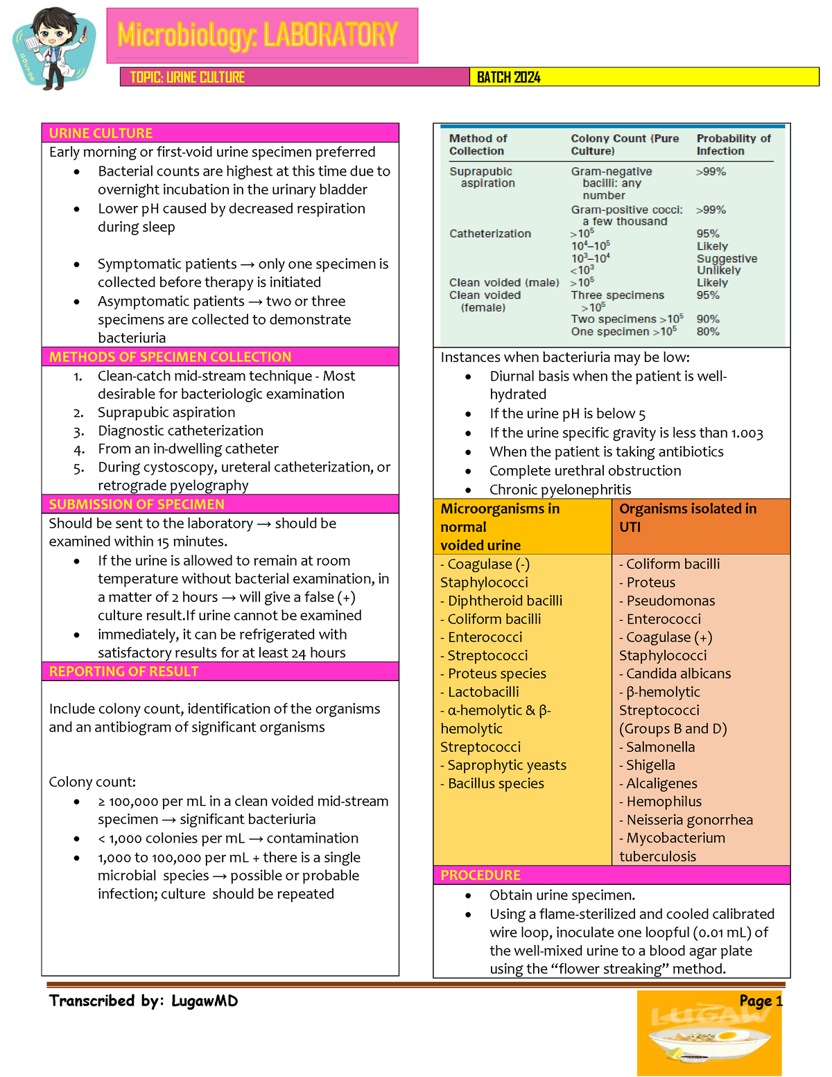 Urine Culture TOPIC URINE CULTURE BATCH 2024 Transcribed By LugawMD   Thumb 1200 1553 