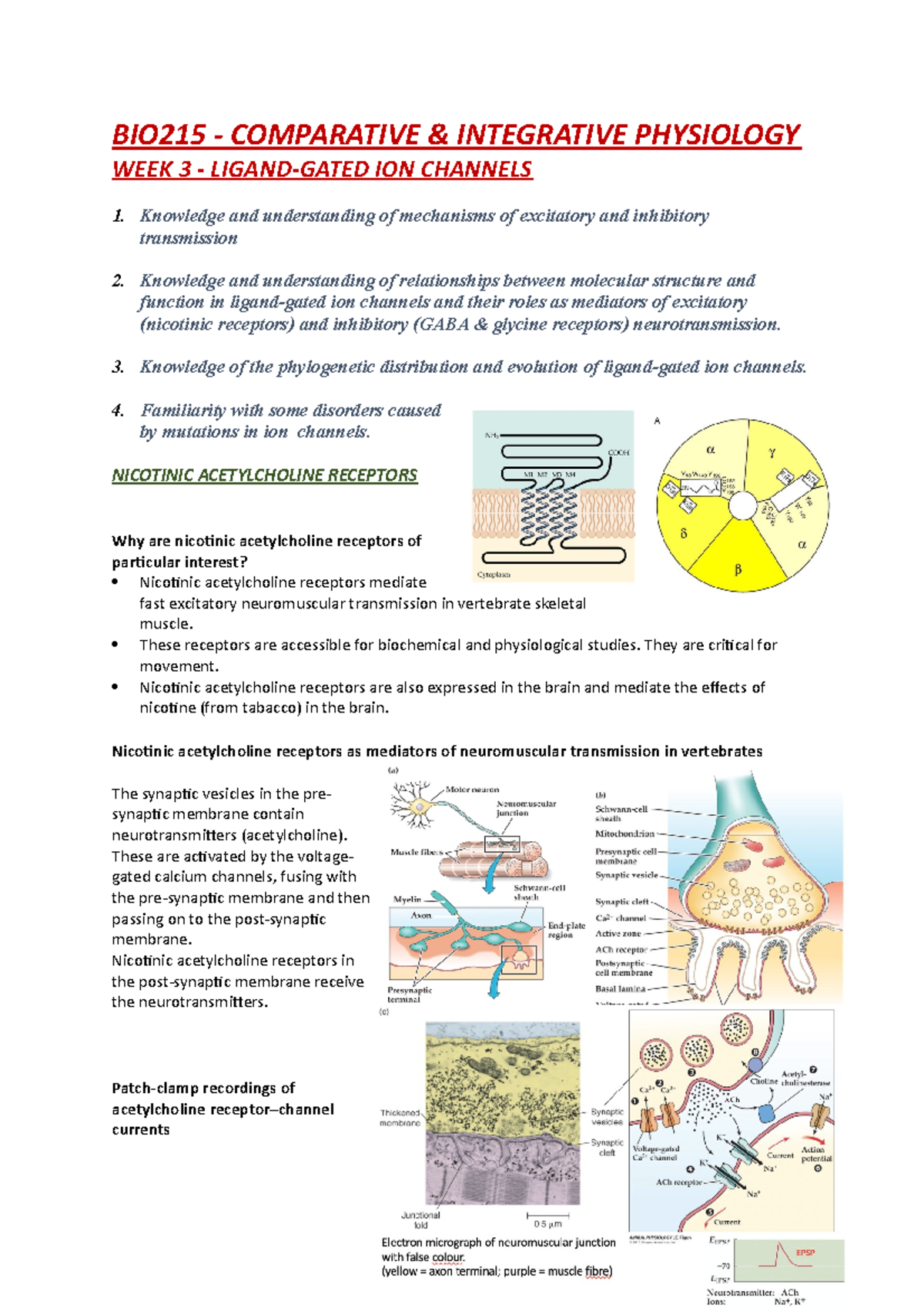 BIO215 Week 3 - LIGAND-GATED ION CHANNELS - BIO215 - COMPARATIVE ...