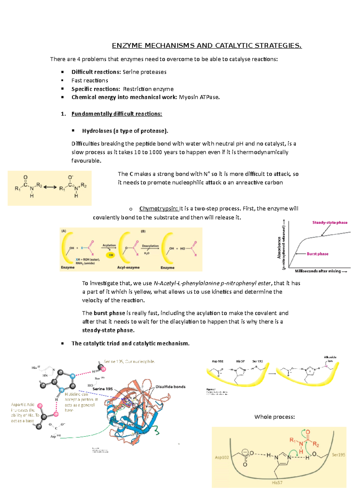 6. Enzyme mechanisms and catalytic strategies ENZYME MECHANISMS AND