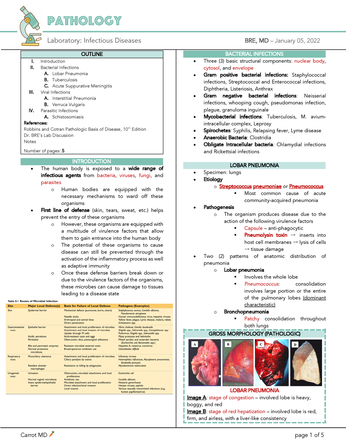 Infectious Diseases - Introduction II. Bacterial Infections A. Lobar ...