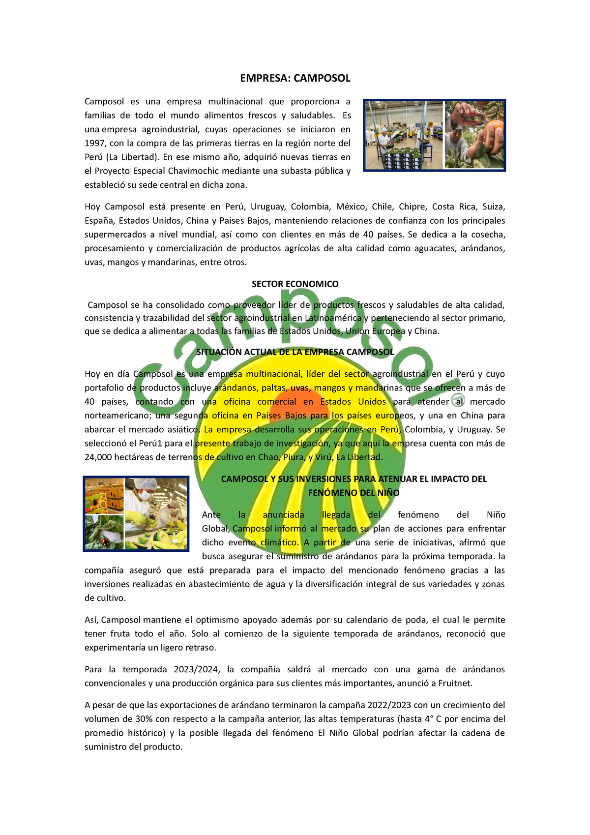 Camposol - EMPRESA: CAMPOSOL Camposol Es Una Empresa Multinacional Que ...