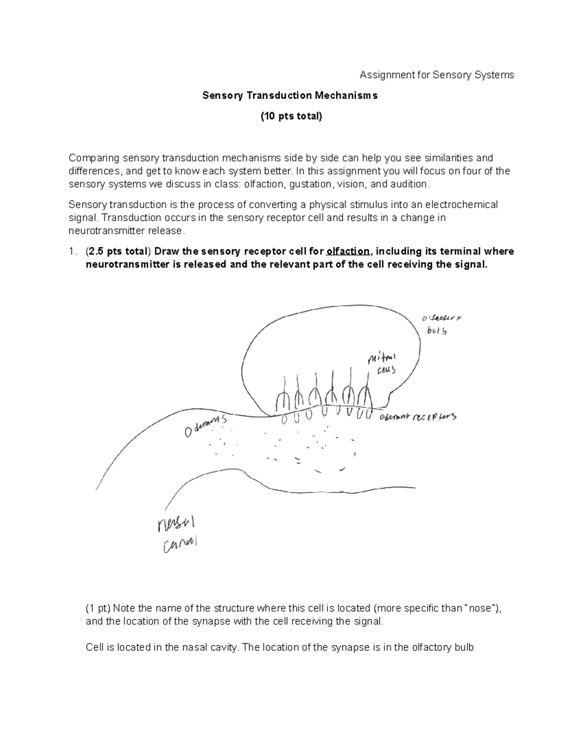 assignment-3-1-sensory-systems-transduction-assignment-for-sensory