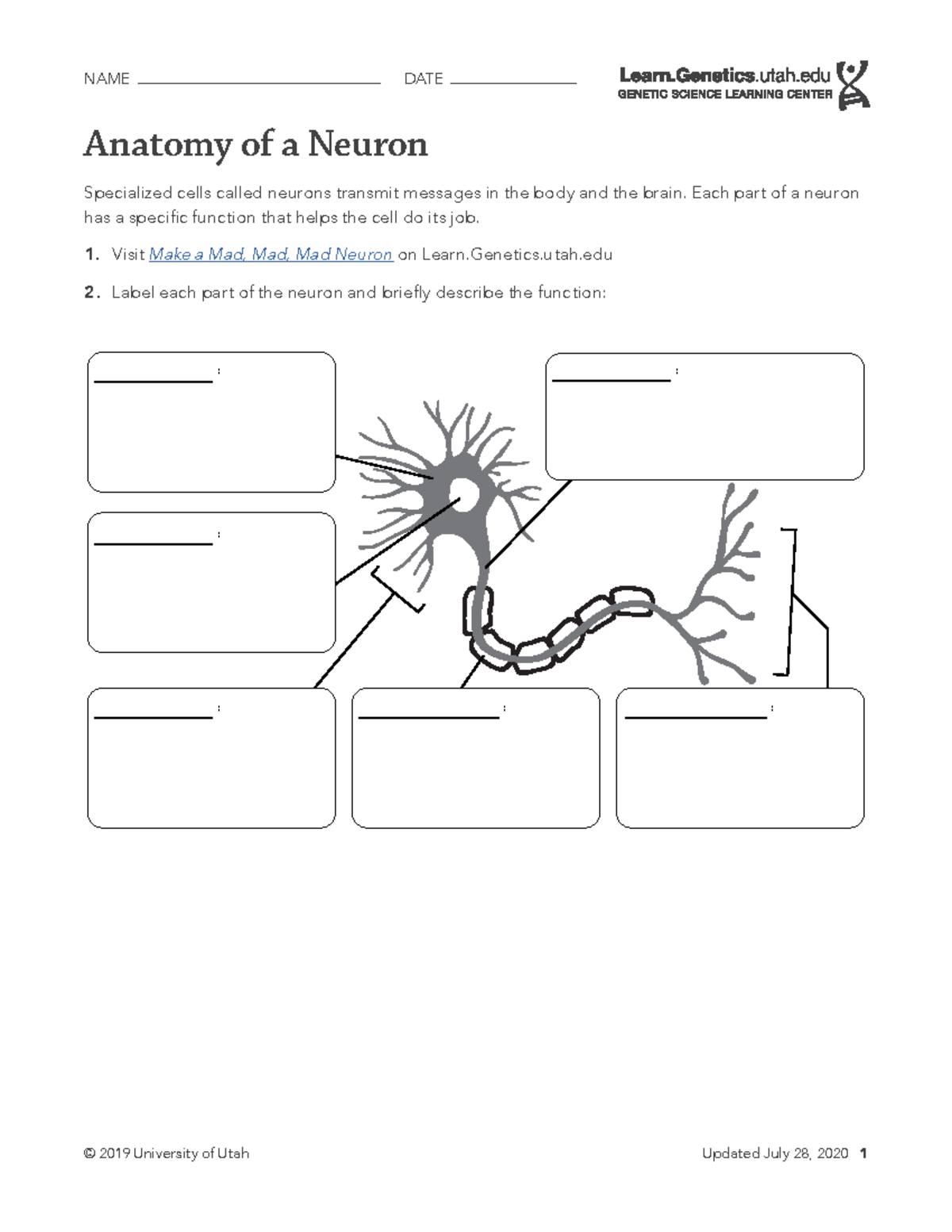 Anatomy-of-a-Neuron - kn jgj - © 2019 University of Utah Updated July ...