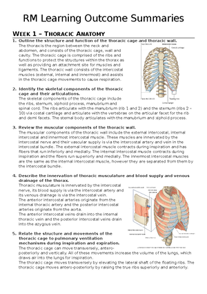 Respiratory medicine notes - Thorax Region between neck and abdomen ...