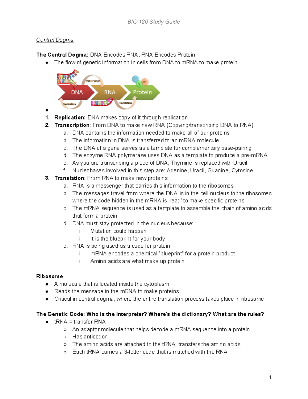 Central dogma of biology summary picture