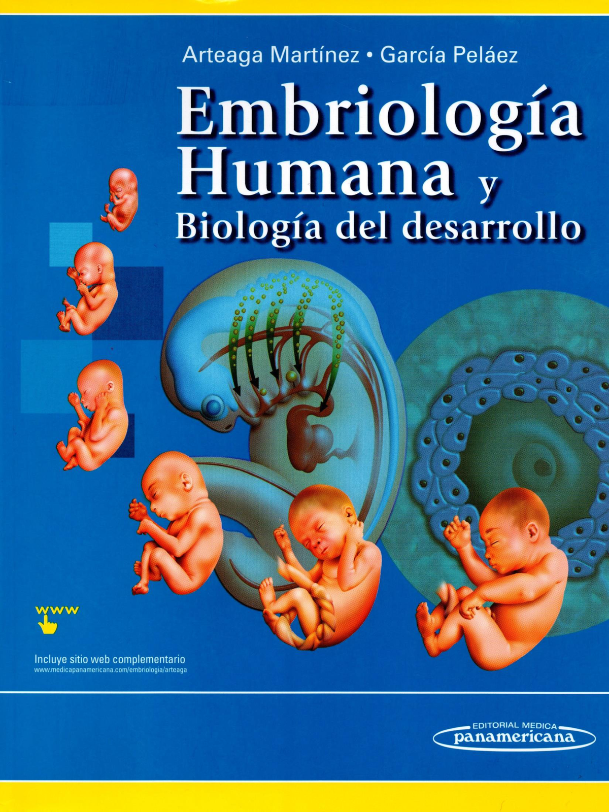 Embriología Humana Y Biología Del Desarrollo Arteaga Martinez And García Peláez 0022
