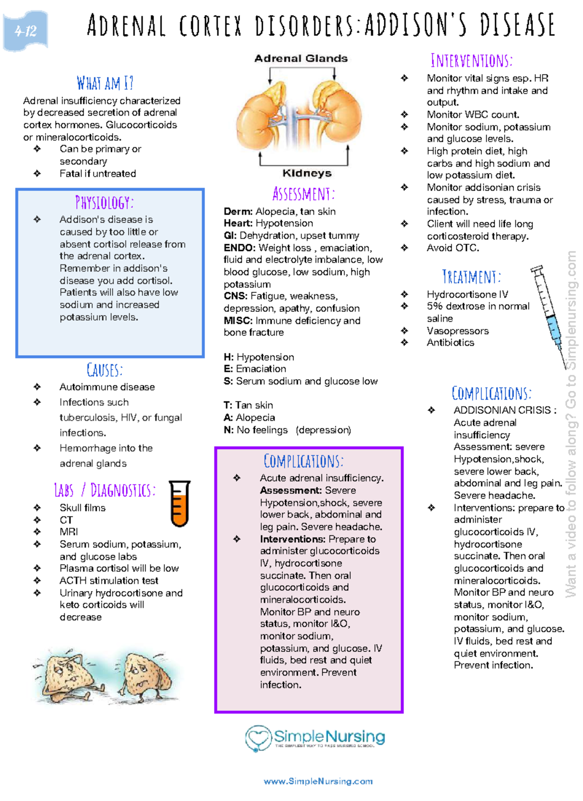 Addison s Disease - Interventions: Monitor vital signs esp. HR and ...