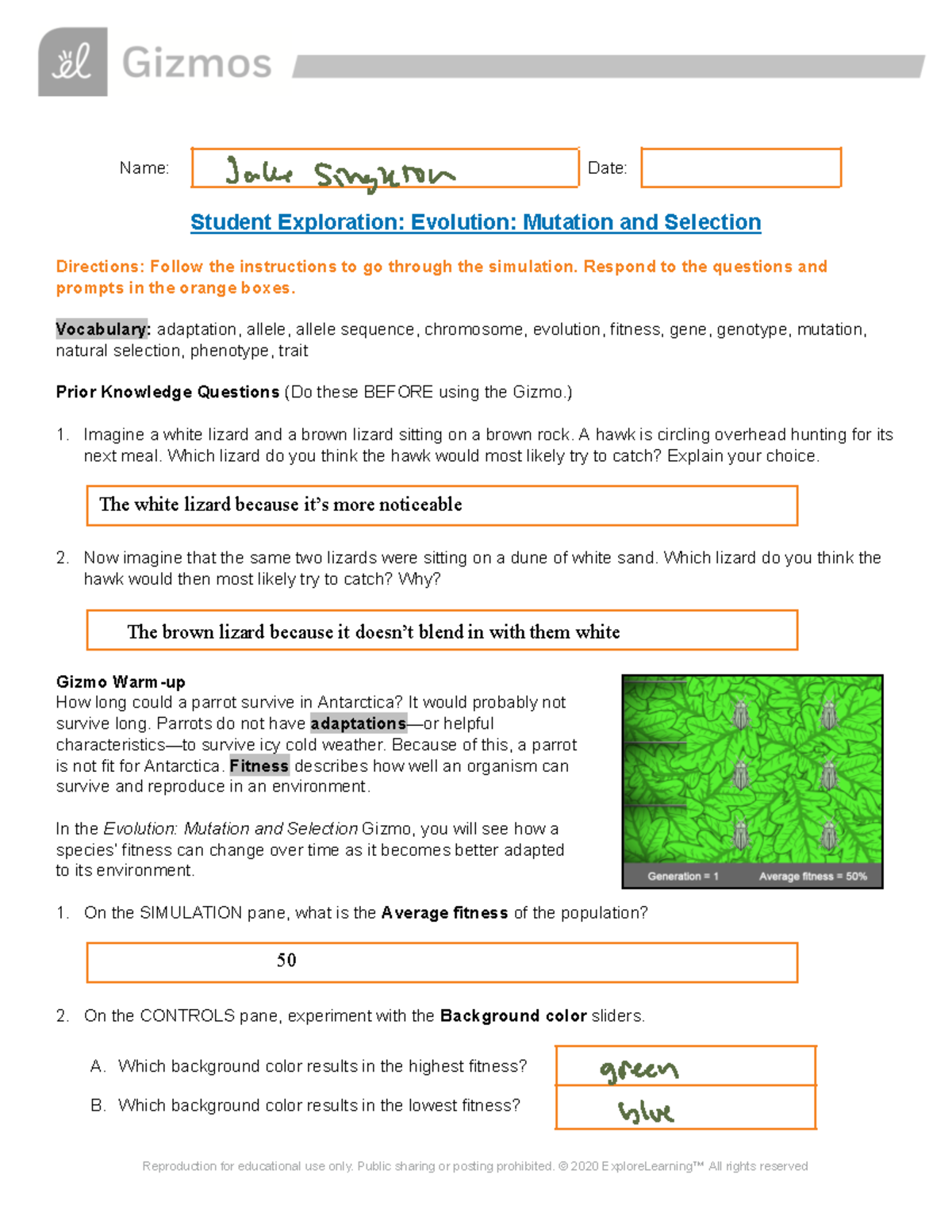 Copy of Evolution Mutation Selection SE - Name: Date: Student ...