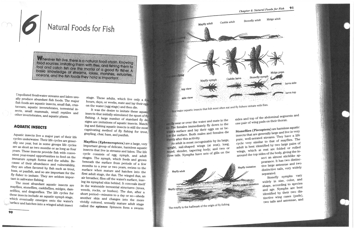 Reading Macro Invertebrates=Trout Food AST 1040 Studocu