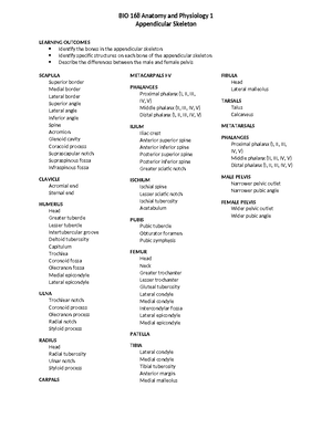 BIO168 Reflexes Handout - The Spinal Cord - Reflexes ADDITIONAL ...