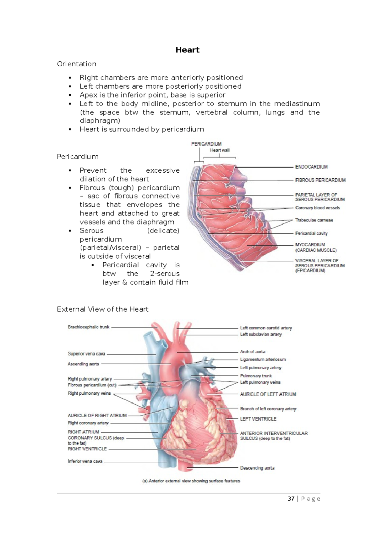 BIOM2020 Part 2 - Summaries for the course after mid-semester spotter ...