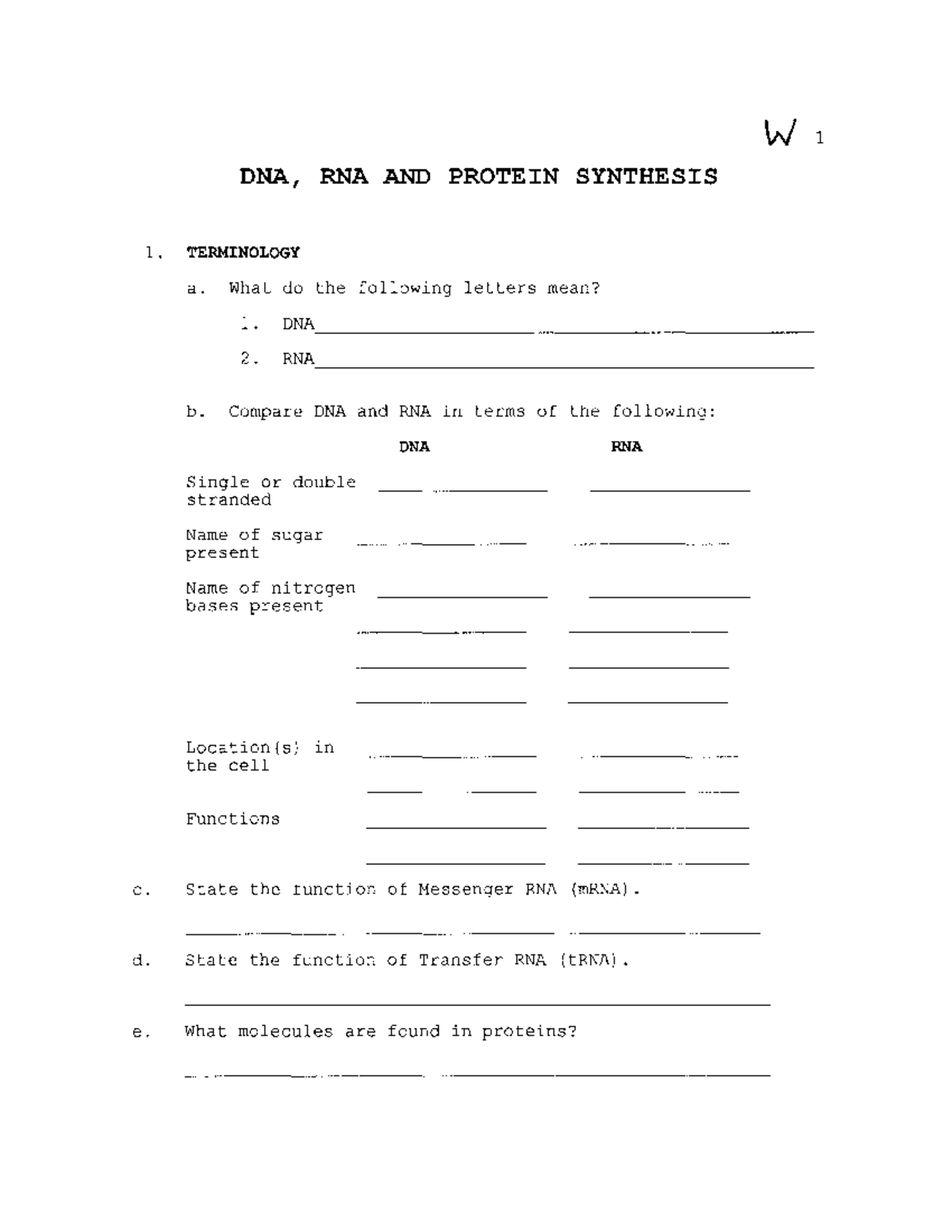 DNA RNA protein sheet - W 1 DNA, RNA AND PROTEIN SYNTHESIS 1 ...