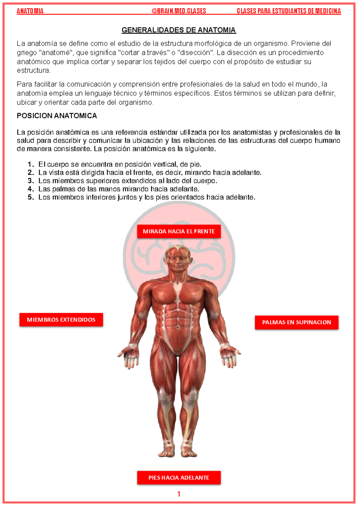 Anatomia - Generalidades - GENERALIDADES DE ANATOMIA La anatomía se