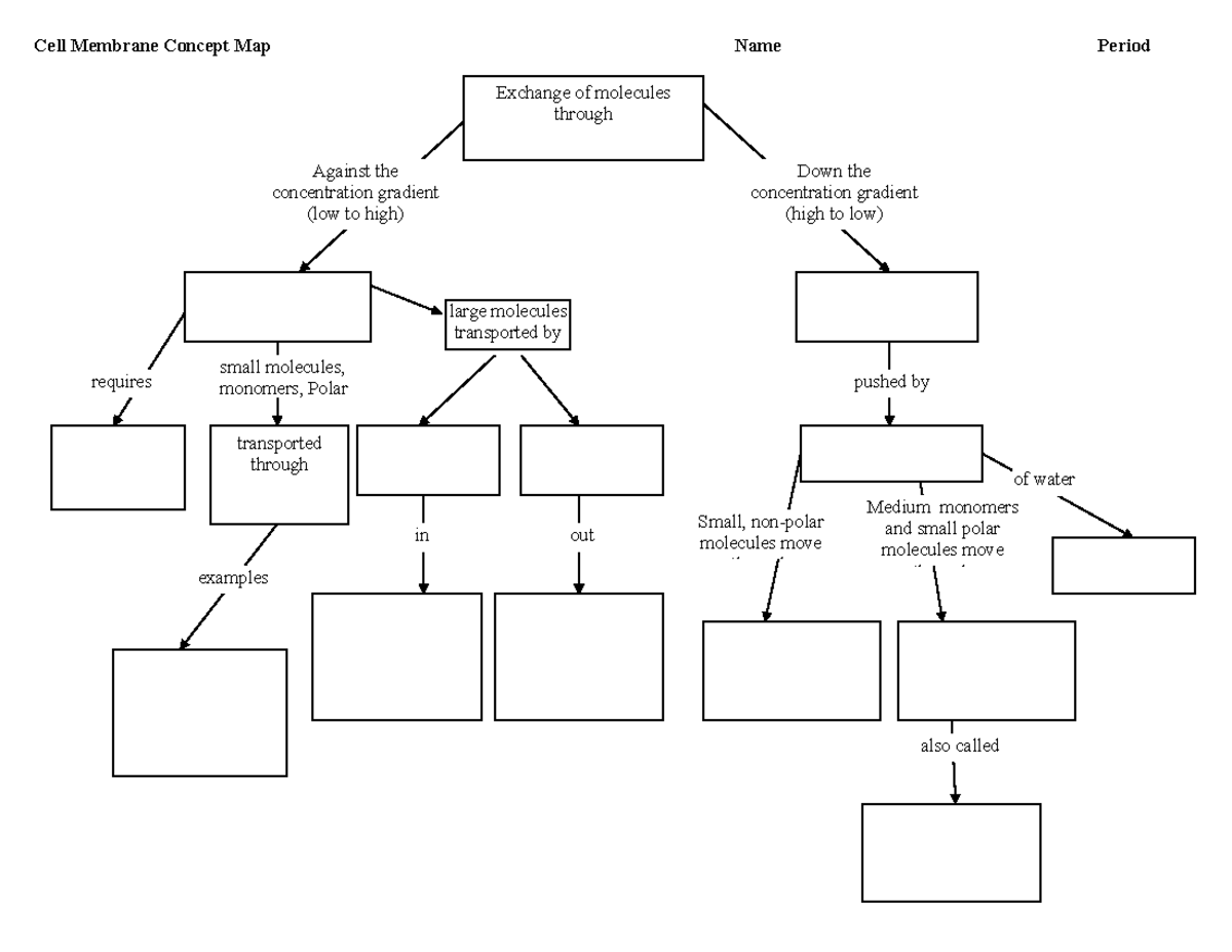 Passive Transport Concept Map