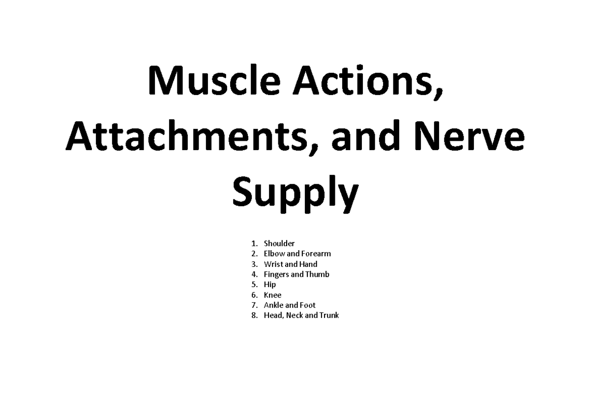 phty1040-muscle-actions-attachments-and-nerve-supply-summary-tables