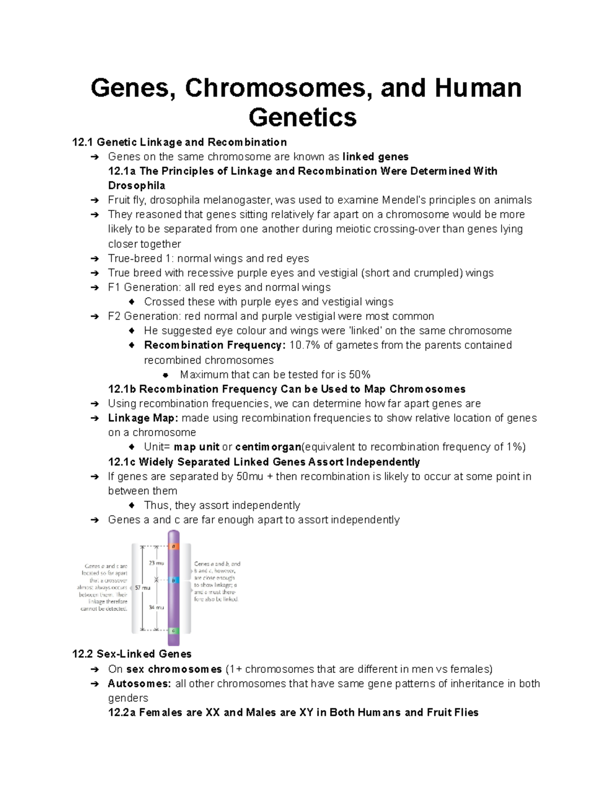 Unit 12 - Unit 12 - Genes, Chromosomes, And Human Genetics 12 Genetic ...