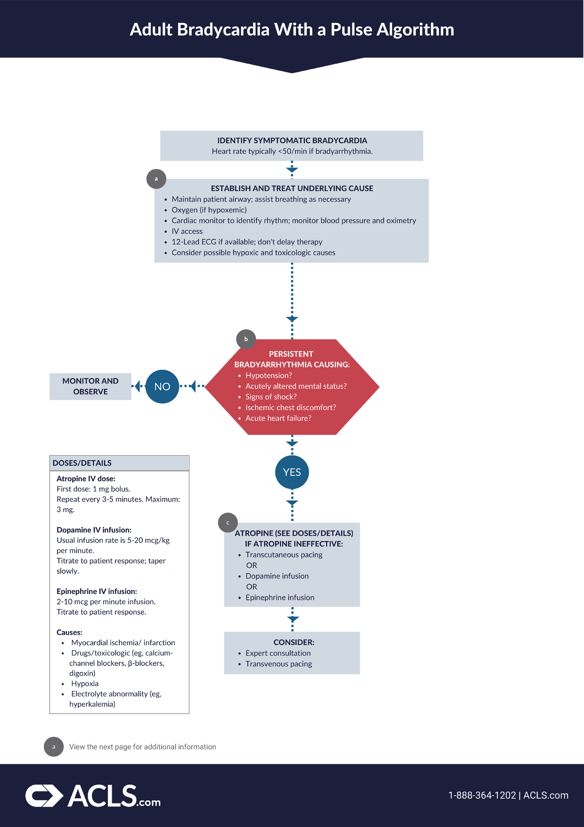Adult Bradycardia With a Pulse Algorithm Bradycardia Management - Adult ...
