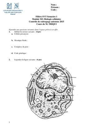 TD De Biologie Cellulaire - Biologie Cellulaire - Studocu