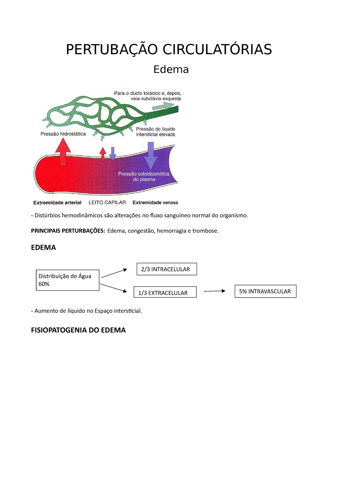 AULA - Pertubação Circulatórias - Edema (World) - PERTUBAÇÃO ...