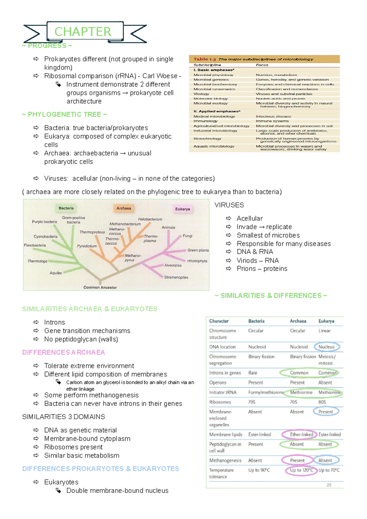 Microbiology A1.1 Notes - ~ PROGRESS ~ Prokaryotes different (not ...
