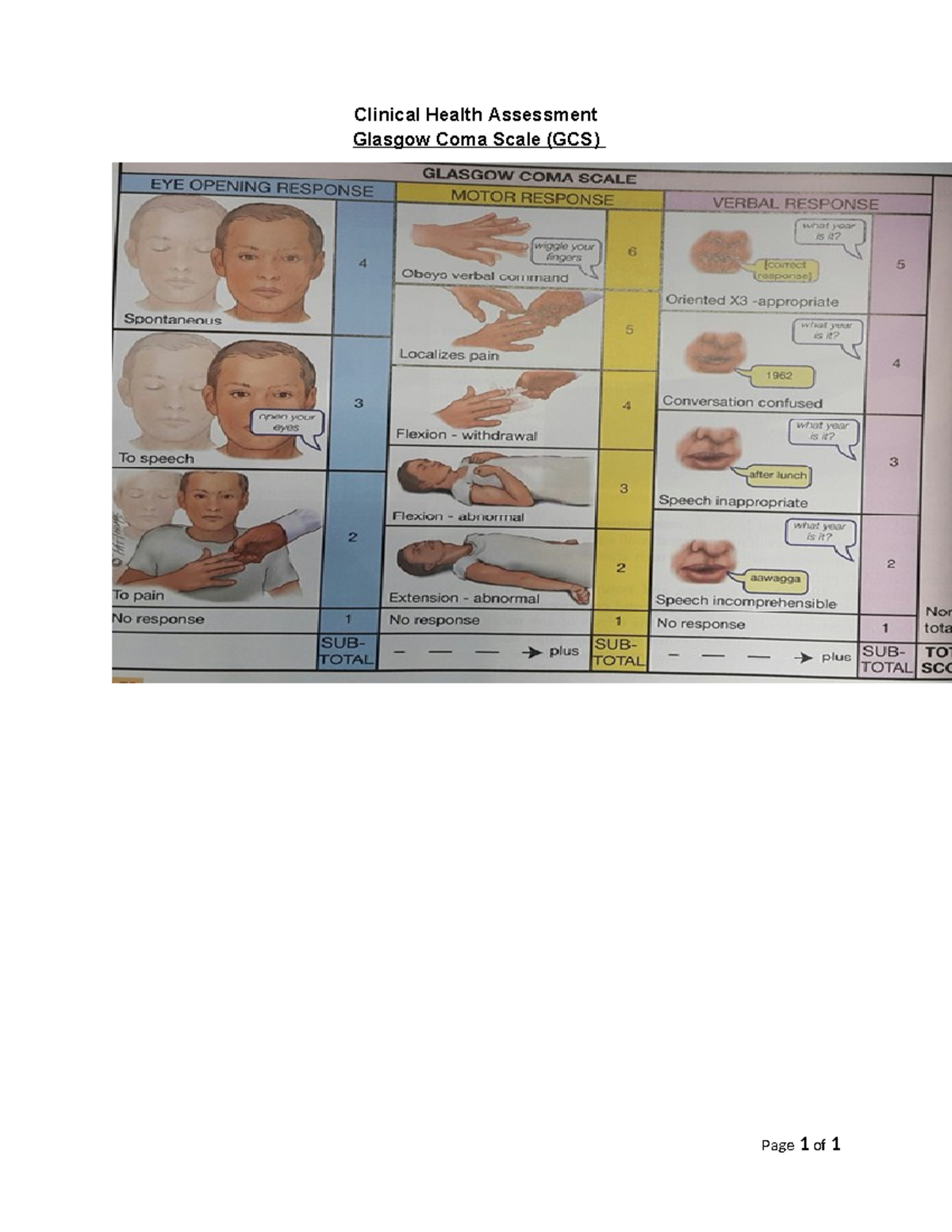 Glasgow coma scale - STUDY - Introduction to Accounting 1 - Clinical ...