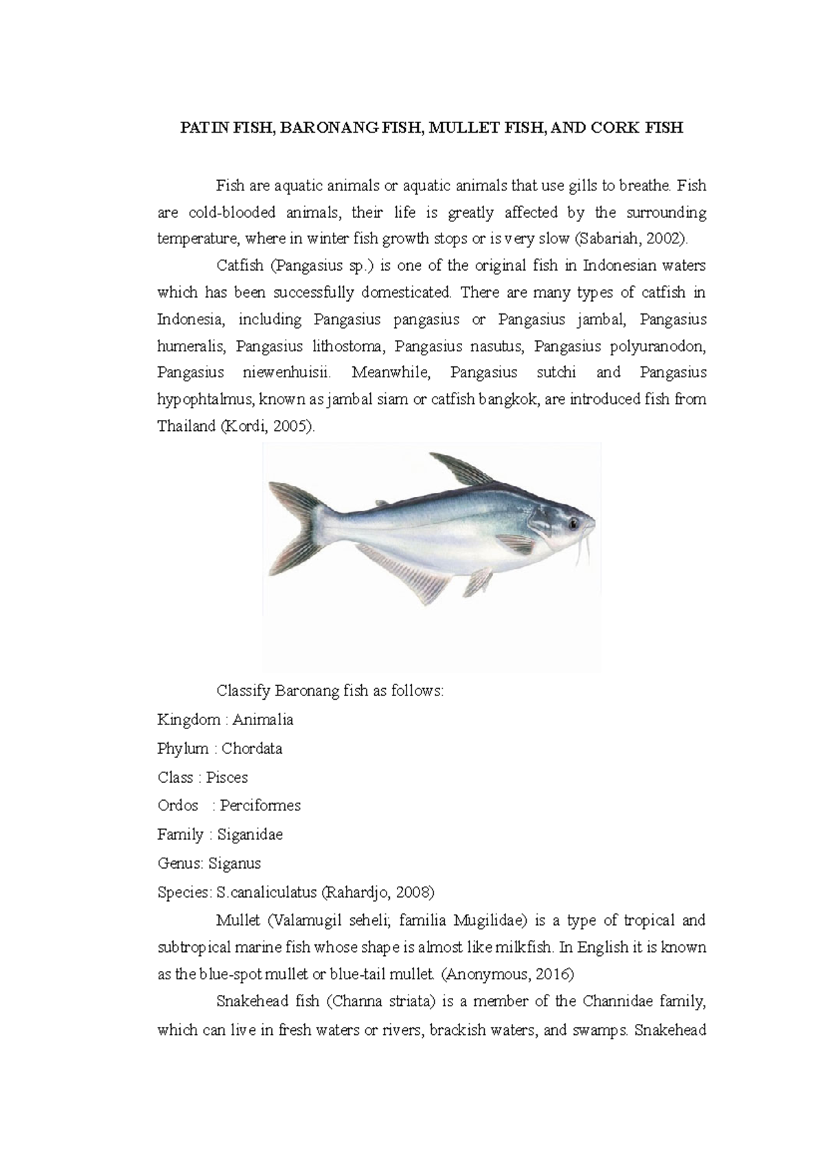 Patin Fish, Baronang Fish, Mullet Fish, and Cork Fish - PATIN FISH ...