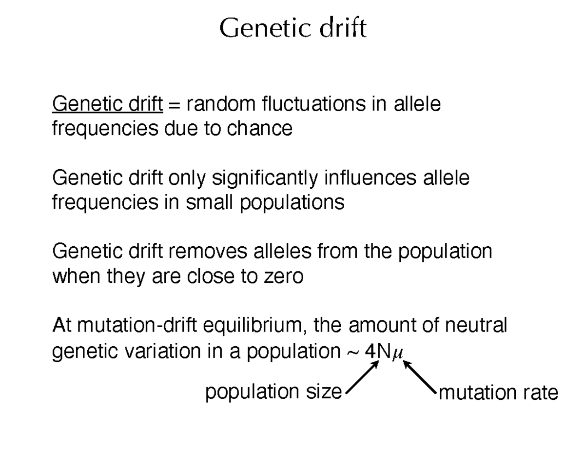 Genetics lec14 9 27 21 - Genetic drift Genetic drift = random ...