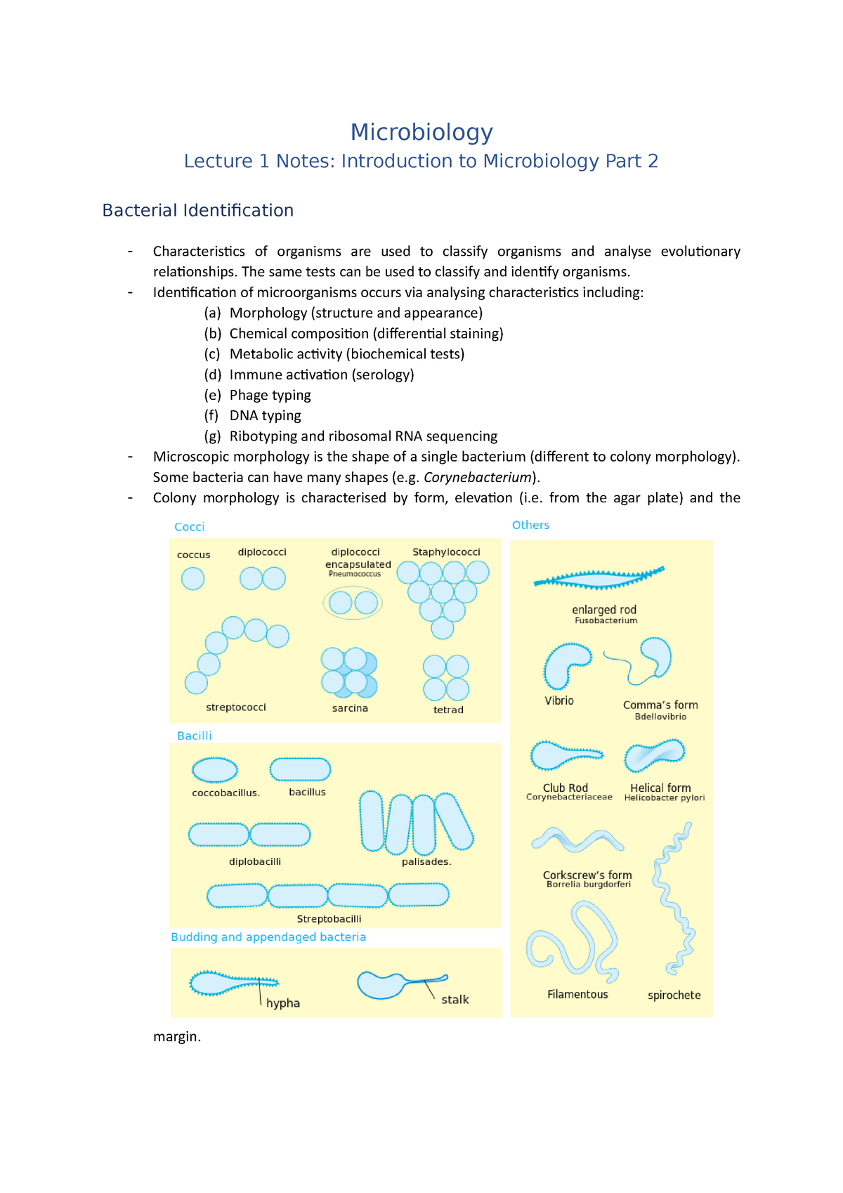 Lecture 1 Notes Introduction To Microbiology Part 2 Microbiology Lecture 1 Notes 9136