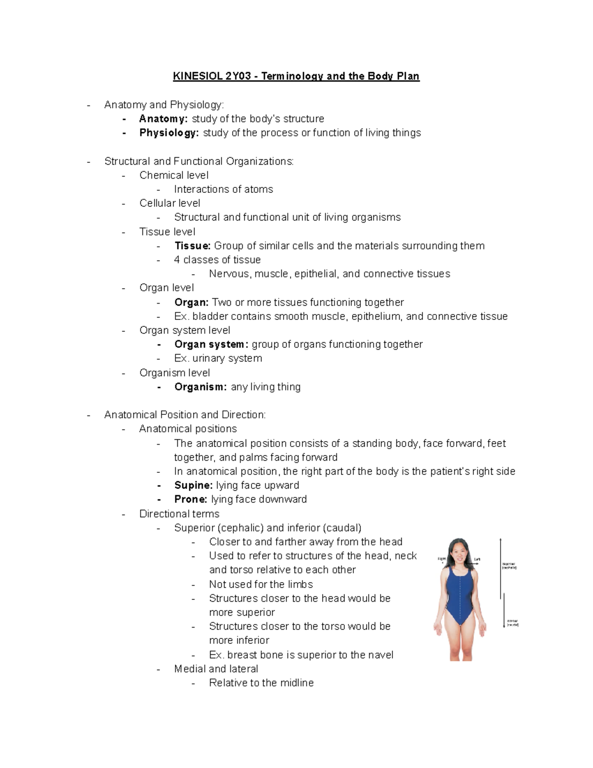 Kinesiol 2Y03 - Terminology And The Body Plan - KINESIOL 2Y03 ...