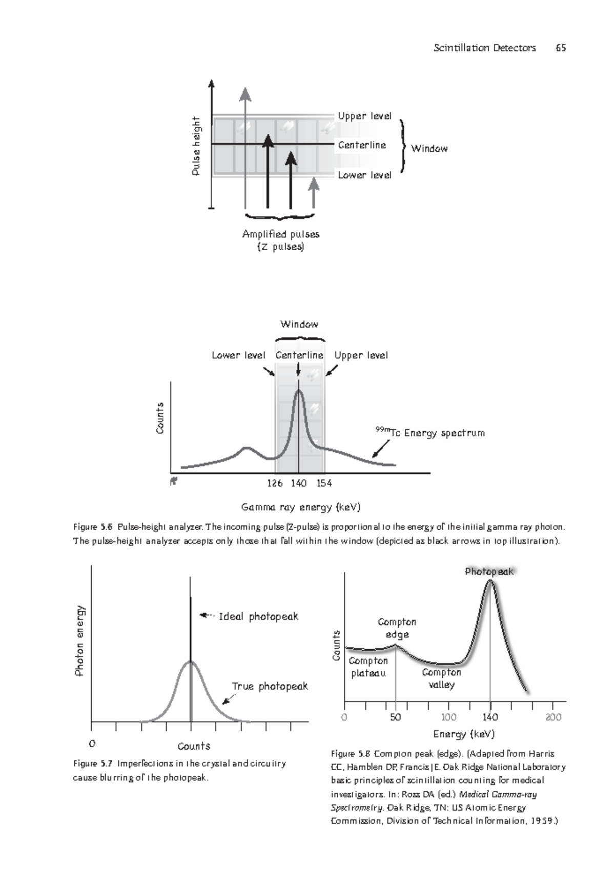 Instrumentation Physics25 Scintillation Detectors 65 Figure 5 Pulse