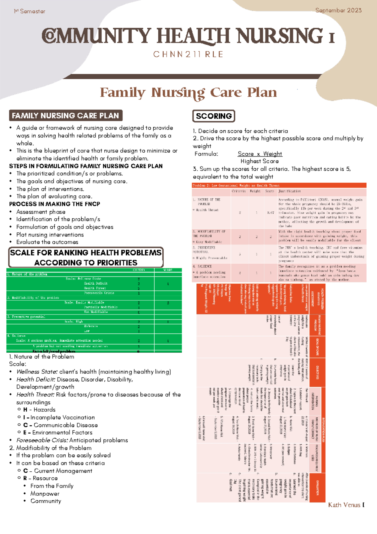 1.03 - Family Nursing CARE PLAN - • A guide or framework of nursing ...