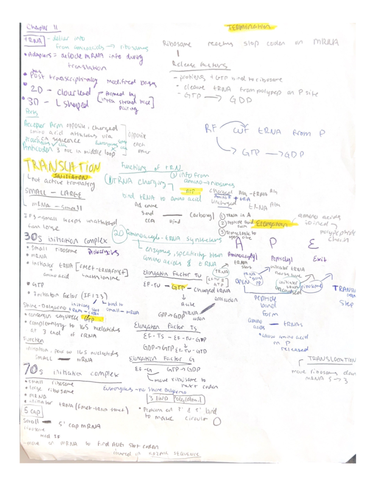 Translation Chapter 11 Notes Map - Biol 230w - Studocu