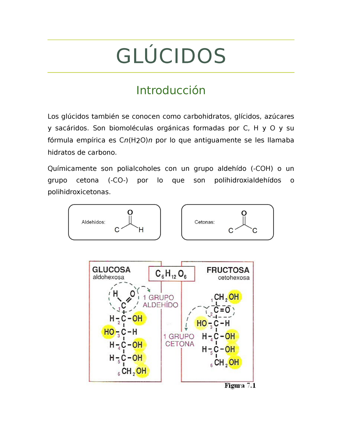 Bioquímica estructural Glúcidos GLÚCIDOS Introducción Los glúcidos también se conocen como