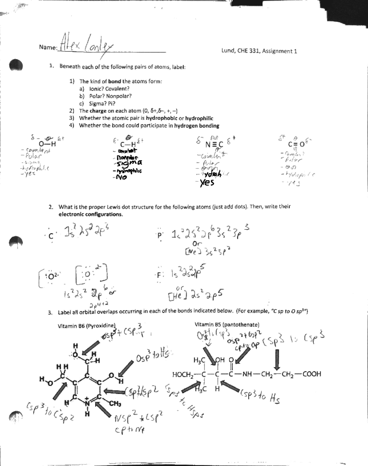 Chem 331 assignment 1 - BIO 436 - Studocu