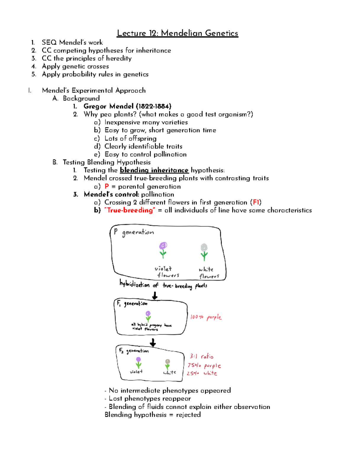 Biology Chapter 12 - Mendelian Genetics - Lecture 12: Mendelian ...