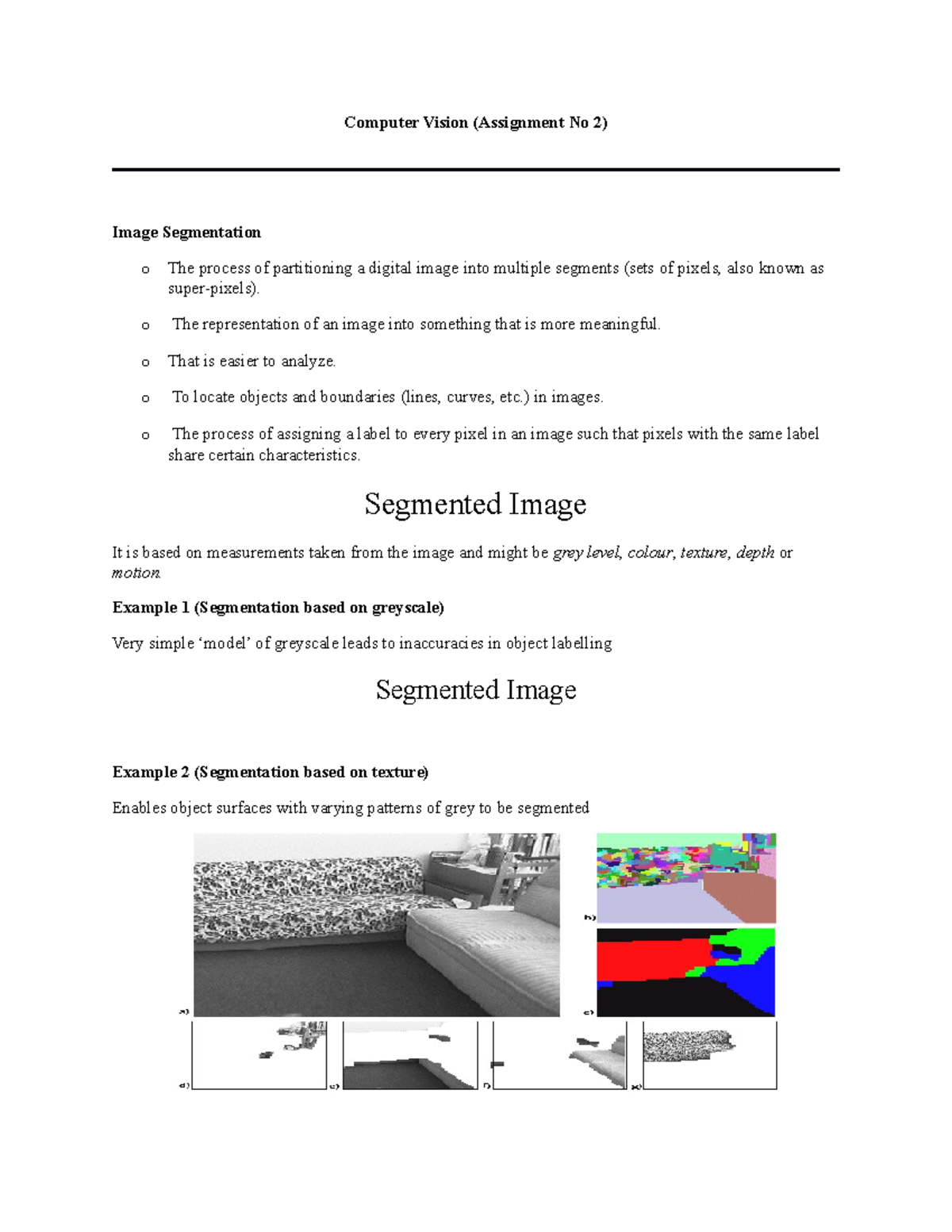 image segmentation assignment