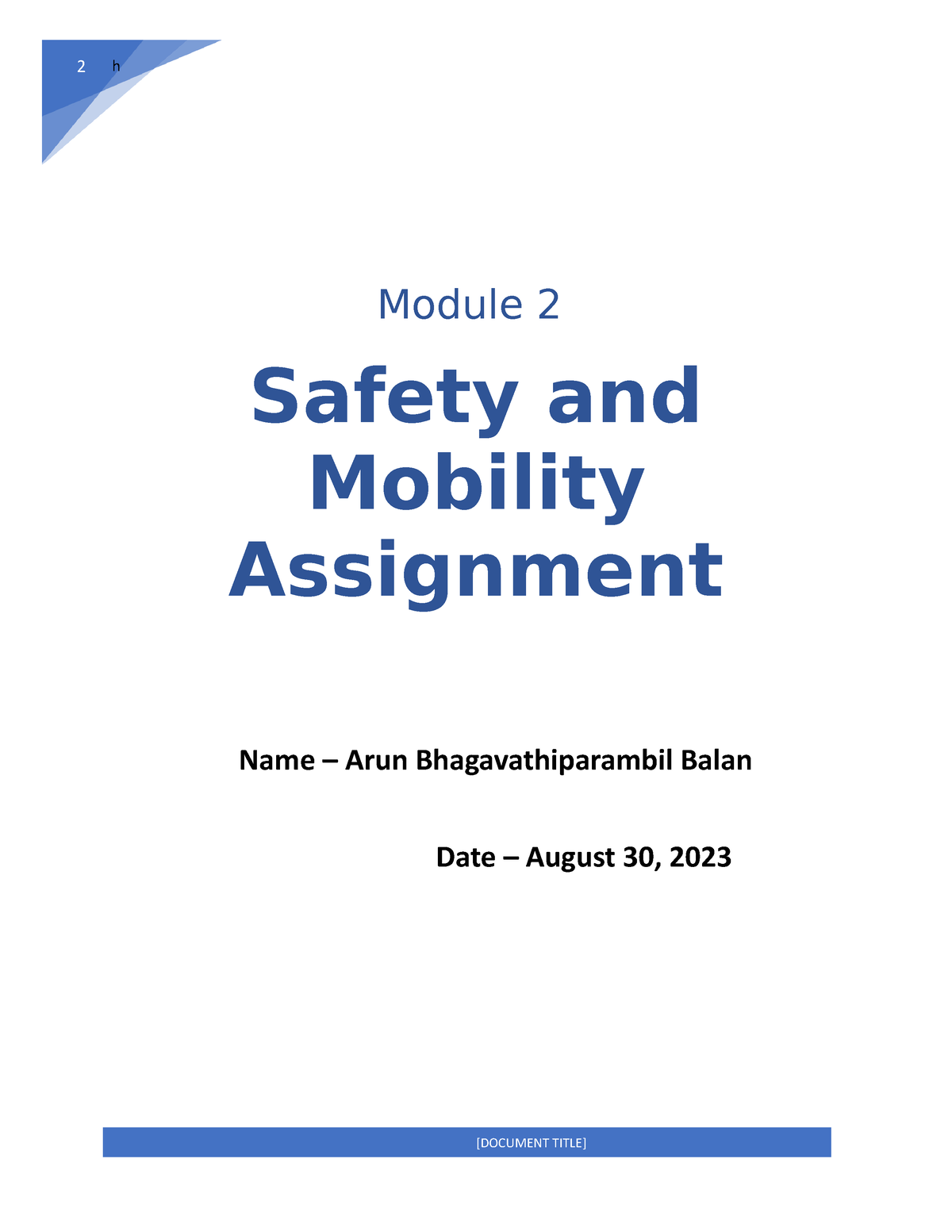 safety and mobility assignment pdf