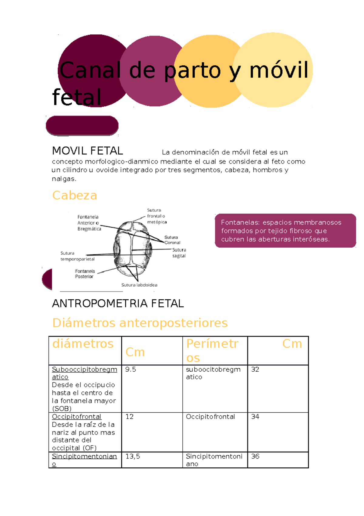 Canal de parto - libro rouviere - Canal de parto y móvil fetal MOVIL ...