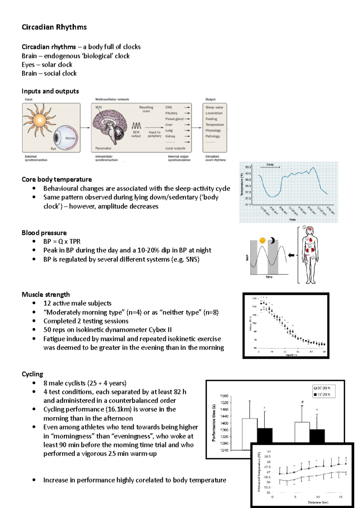 08.12 Circadian Rhythms Circadian Rhythms Circadian rhythms a body