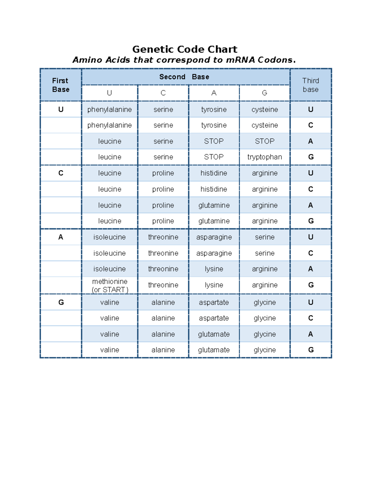 Code Chart study guides Code Chart Amino Acids that correspond to mRNA