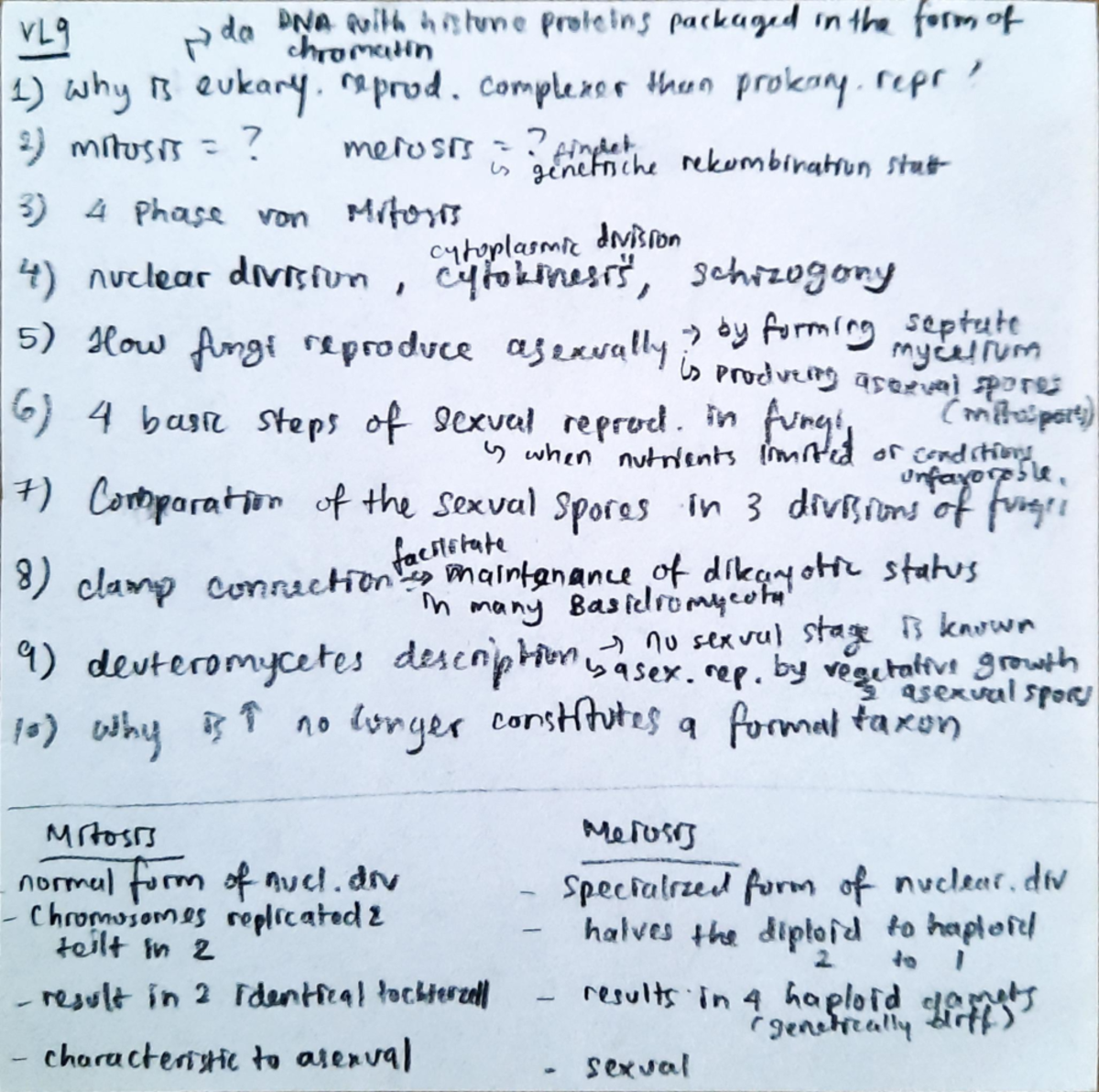 9. November 1989 Kurze Zusammenfassung Mibi1 VL9 - kurze Zusammenfassung - Grundlagen der Mikrobiologie - TU