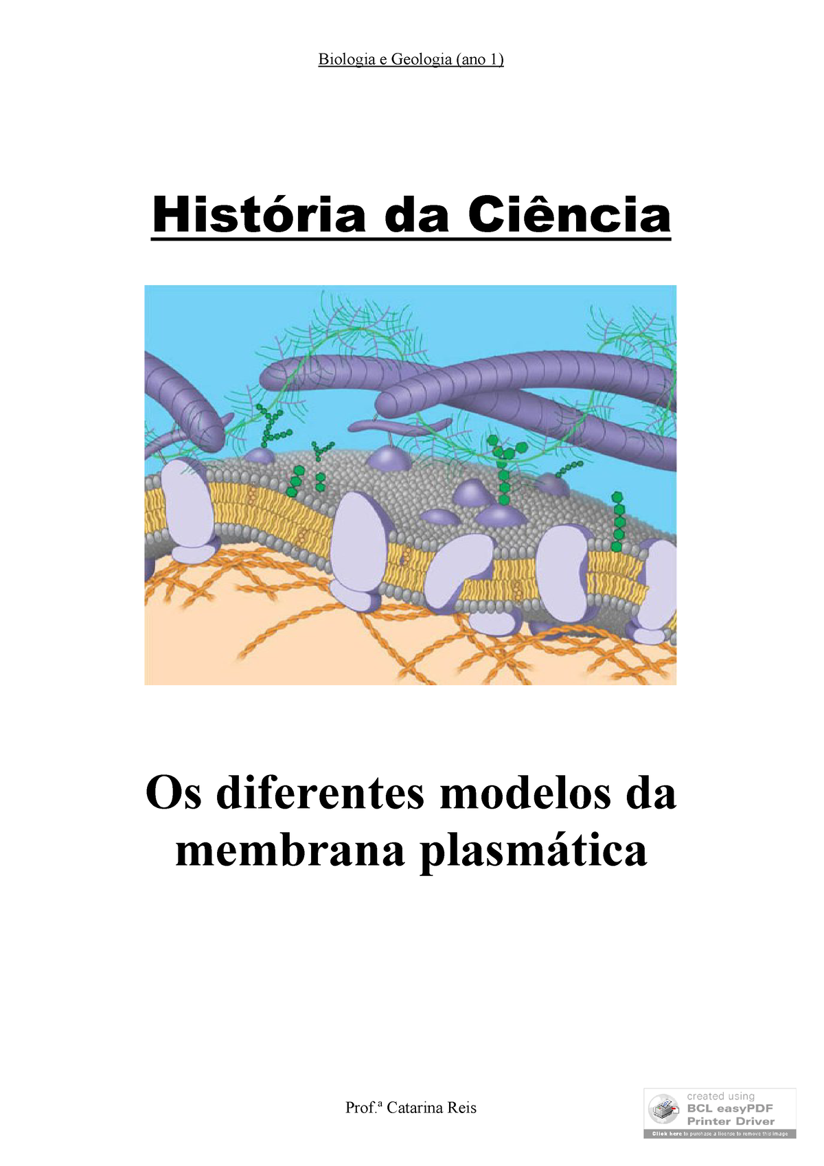 Os Diferentes Modelos Da Membrana Plasmatica Biologia E Geologia Ano 1 Profª Catarina Reis 1595